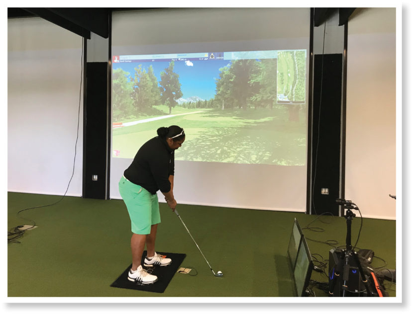 Golf Projector Screen Golf Hitting Screen Screen Shot Golf